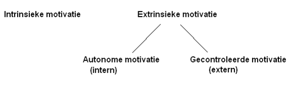 intrinsiek/extrinsiek