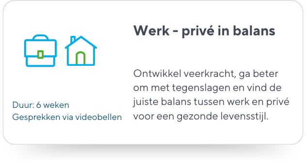 werk---priv-balans.png